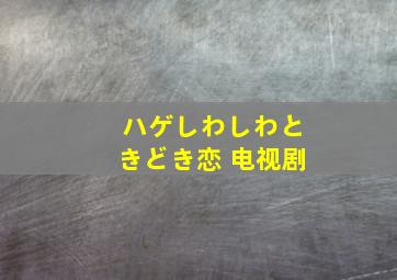 ハゲしわしわときどき恋 电视剧